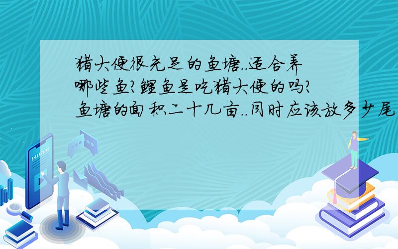 猪大便很充足的鱼塘..适合养哪些鱼?鲤鱼是吃猪大便的吗?鱼塘的面积二十几亩..同时应该放多少尾的鱼苗?