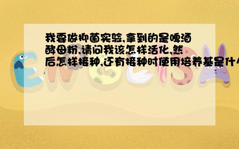 我要做抑菌实验,拿到的是啤酒酵母粉,请问我该怎样活化,然后怎样接种,还有接种时使用培养基是什么?