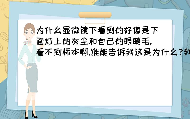 为什么显微镜下看到的好像是下面灯上的灰尘和自己的眼睫毛,看不到标本啊,谁能告诉我这是为什么?我们家新买一个1200X的显微镜,可是我拿标本来看,看到的好像是下面灯上的灰尘和自己的眼