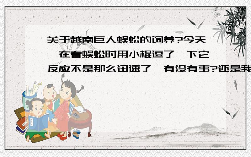 关于越南巨人蜈蚣的饲养?今天,在看蜈蚣时用小棍逗了一下它反应不是那么迅速了,有没有事?还是我太敏感了,担心过多呢!前几天我喂的面包虫,两天喂了十多只,见他吃完了我就喂几个!但最近