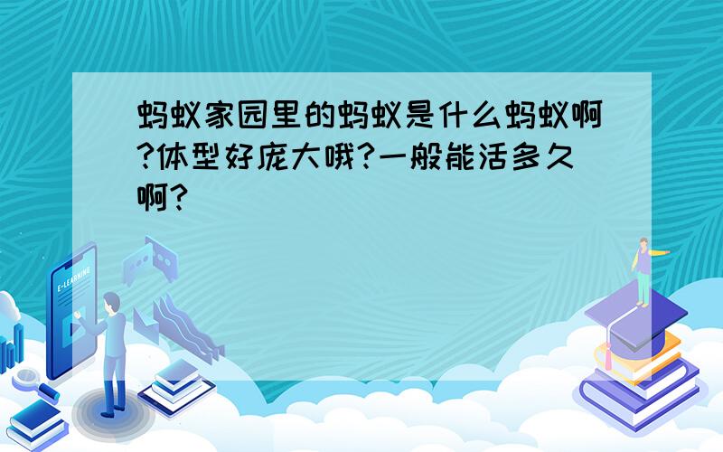 蚂蚁家园里的蚂蚁是什么蚂蚁啊?体型好庞大哦?一般能活多久啊?