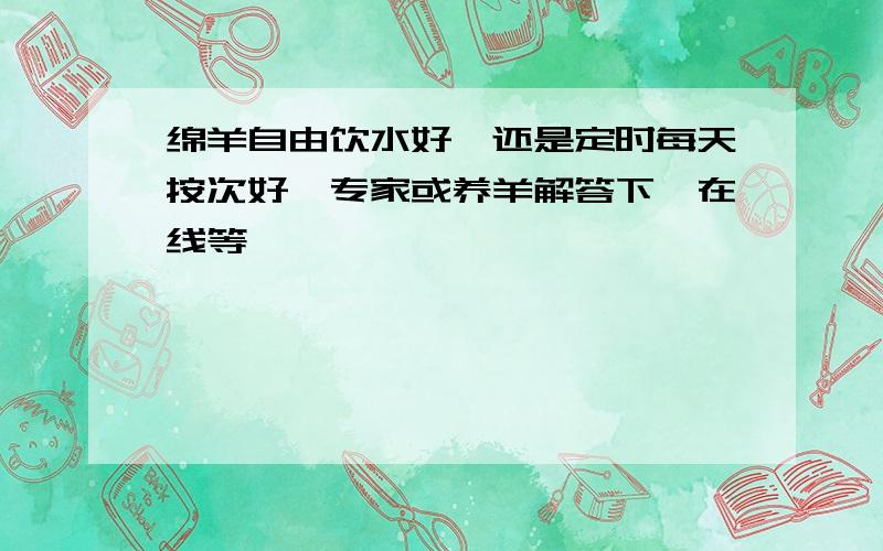 绵羊自由饮水好,还是定时每天按次好,专家或养羊解答下,在线等