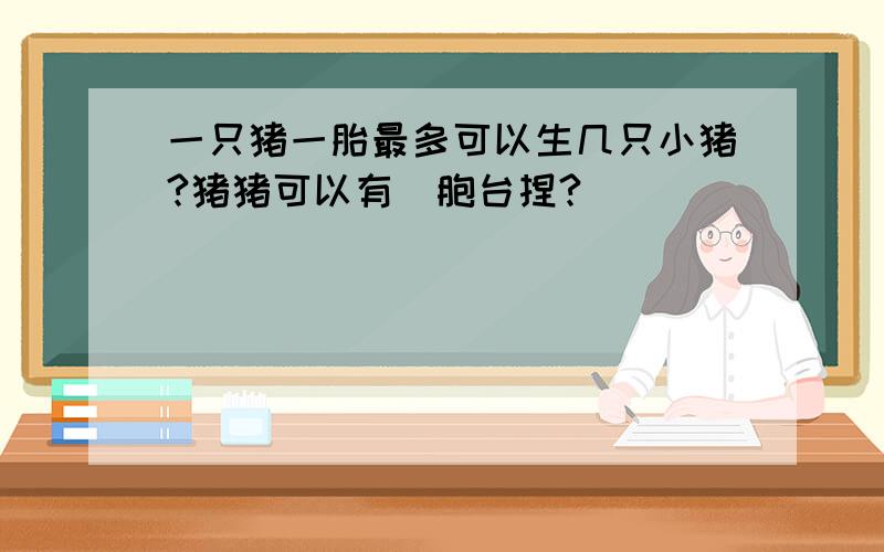 一只猪一胎最多可以生几只小猪?猪猪可以有幾胞台捏?