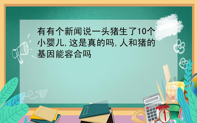 有有个新闻说一头猪生了10个小婴儿,这是真的吗,人和猪的基因能容合吗