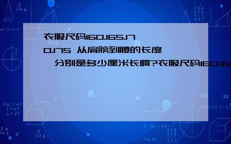 衣服尺码160.165.170.175 从肩膀到腰的长度,分别是多少厘米长啊?衣服尺码160.165.170.175 从肩膀到腰的长度,分别是多少厘米长啊?请专业人士回答,我只想知是多少厘米