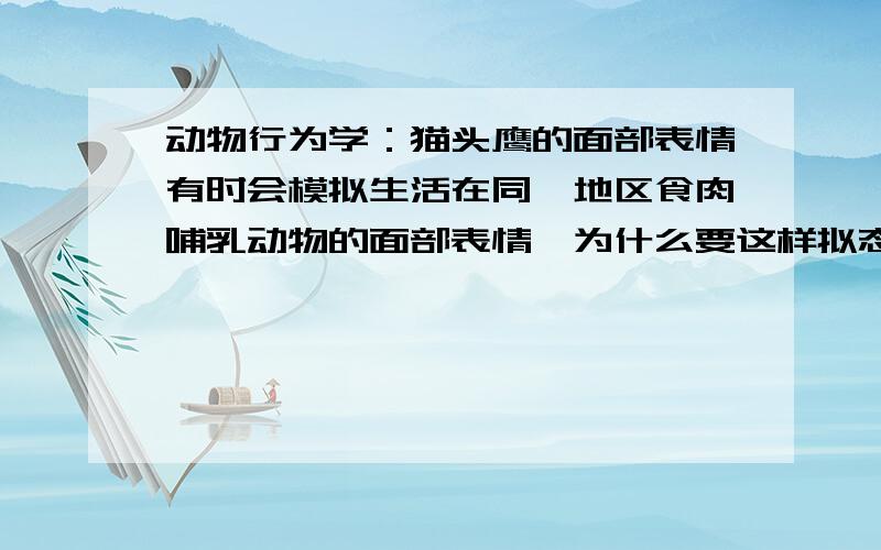 动物行为学：猫头鹰的面部表情有时会模拟生活在同一地区食肉哺乳动物的面部表情,为什么要这样拟态