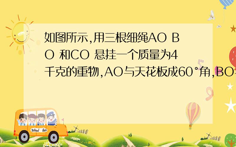 如图所示,用三根细绳AO BO 和CO 悬挂一个质量为4千克的重物,AO与天花板成60°角,BO与天花板成30°角,求  三根细绳受到的拉力分别为多少