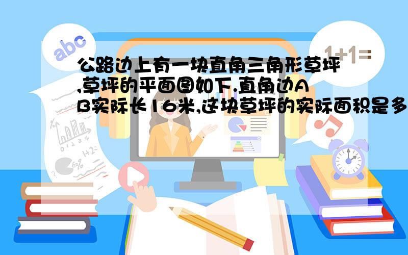 公路边上有一块直角三角形草坪,草坪的平面图如下.直角边AB实际长16米,这块草坪的实际面积是多少平方米怎么写给好评