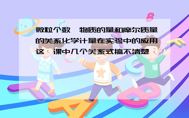 微粒个数,物质的量和摩尔质量的关系化学计量在实验中的应用这一课中几个关系式搞不清楚