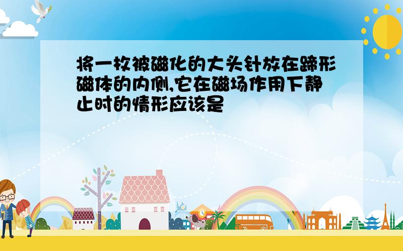 将一枚被磁化的大头针放在蹄形磁体的内侧,它在磁场作用下静止时的情形应该是