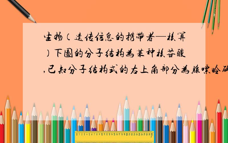 生物（遗传信息的携带者—核算）下图的分子结构为某种核苷酸,已知分子结构式的右上角部分为腺嘌呤碱基.请仔细观察分析后回答下列问题、（1）该核苷酸的分子式是?（2）该核苷酸的生