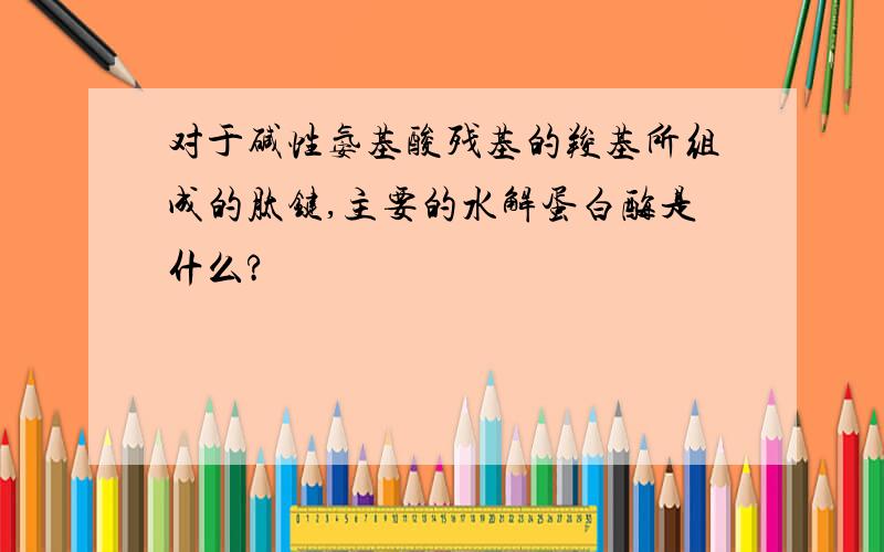 对于碱性氨基酸残基的羧基所组成的肽键,主要的水解蛋白酶是什么?