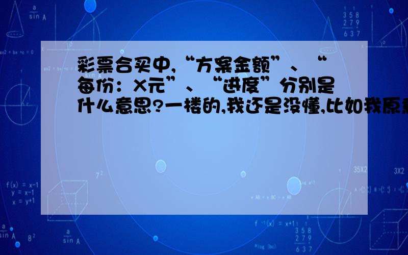 彩票合买中,“方案金额”、“每份：X元”、“进度”分别是什么意思?一楼的,我还是没懂,比如我原意出的钱不超过2元,我该选哪种合购?