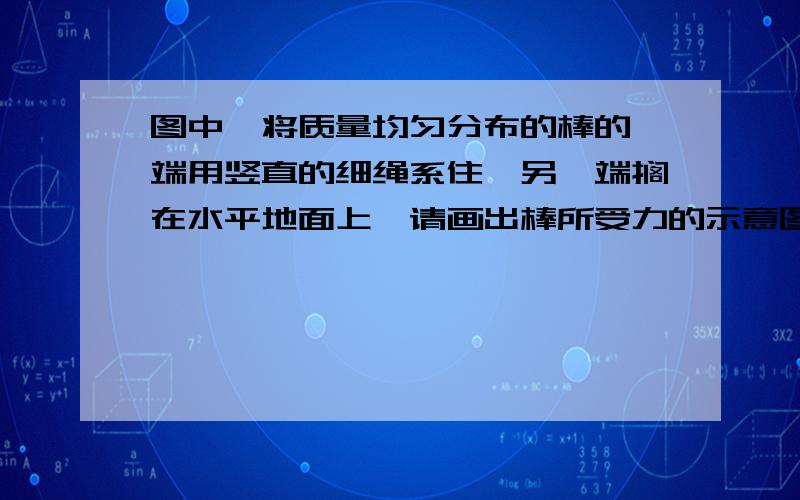 图中,将质量均匀分布的棒的一端用竖直的细绳系住,另一端搁在水平地面上,请画出棒所受力的示意图