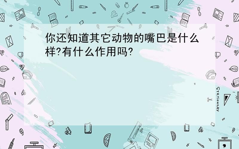 你还知道其它动物的嘴巴是什么样?有什么作用吗?