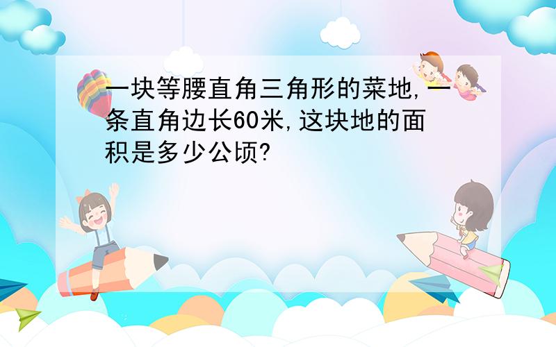 一块等腰直角三角形的菜地,一条直角边长60米,这块地的面积是多少公顷?