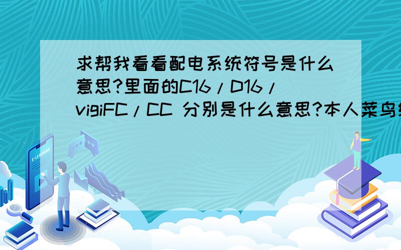 求帮我看看配电系统符号是什么意思?里面的C16/D16/vigiFC/CC 分别是什么意思?本人菜鸟级求大侠解~~