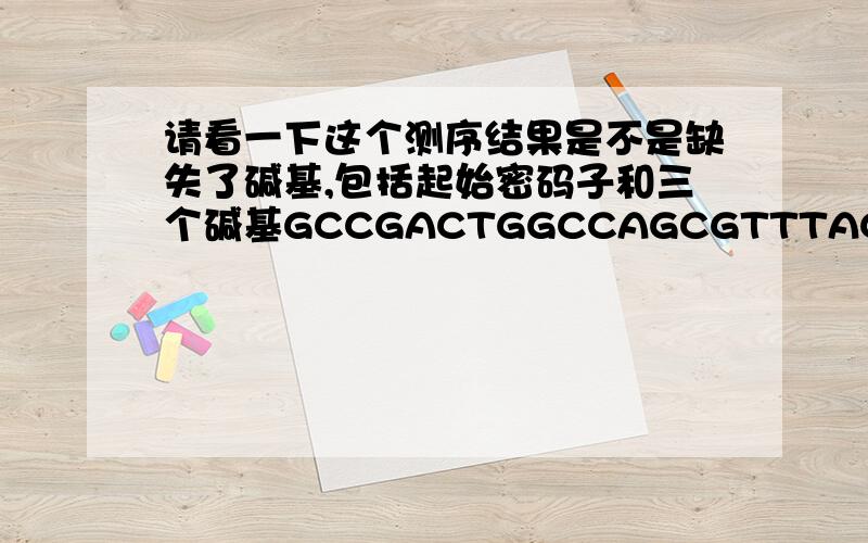 请看一下这个测序结果是不是缺失了碱基,包括起始密码子和三个碱基GCCGACTGGCCAGCGTTTACTTAAGCTTACCATGGCTTACCCTTACGACGTCCCAGATTACGCGGCTAGGCTGTGCTGCCCACTGGATCCTGCGCGGGACGTCCTTTGTTTACGTCCCGTCGGCGCTGAATCCTGCGGACGACCCTTCTCGGGGTCGCT