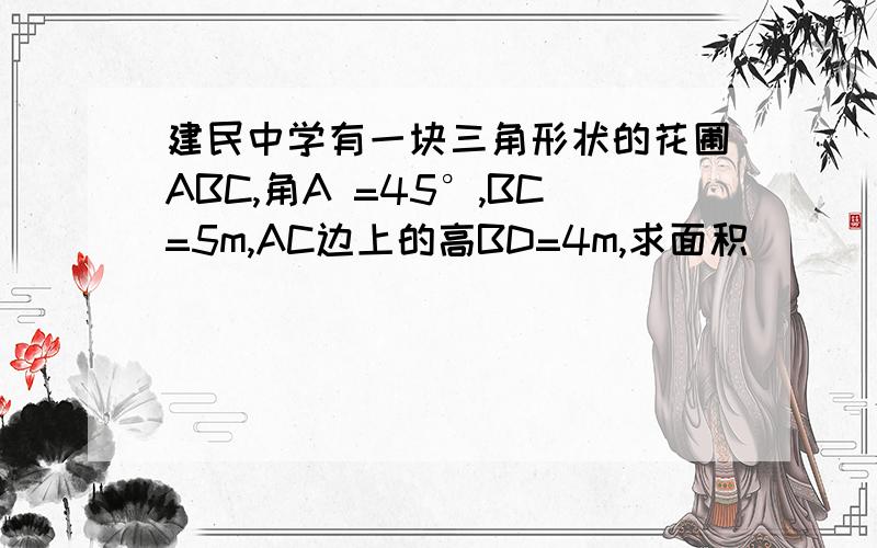 建民中学有一块三角形状的花圃ABC,角A =45°,BC=5m,AC边上的高BD=4m,求面积