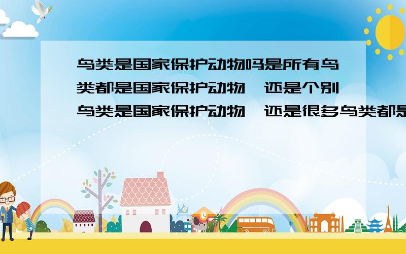 鸟类是国家保护动物吗是所有鸟类都是国家保护动物,还是个别鸟类是国家保护动物,还是很多鸟类都是国家保护动物?