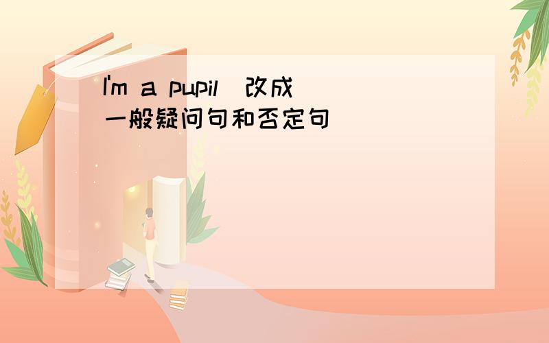 I'm a pupil(改成一般疑问句和否定句）