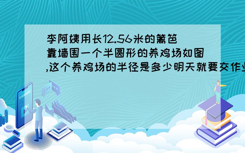 李阿姨用长12.56米的篱笆靠墙围一个半圆形的养鸡场如图,这个养鸡场的半径是多少明天就要交作业了，急