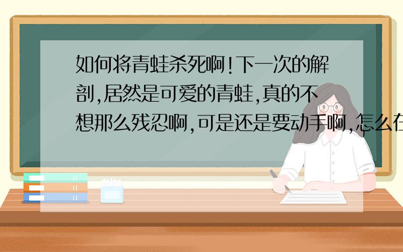 如何将青蛙杀死啊!下一次的解剖,居然是可爱的青蛙,真的不想那么残忍啊,可是还是要动手啊,怎么在最短的时间内将他杀死啊!