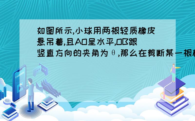 如图所示,小球用两根轻质橡皮悬吊着,且AO呈水平,OB跟竖直方向的夹角为θ,那么在剪断某一根橡皮条的瞬间,小球的加速度是A 不管剪断那一根,小球的加速度均为0B 剪断AO的瞬间,小球的加速度