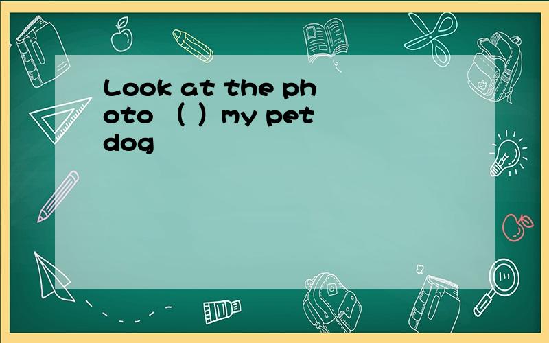 Look at the photo （ ）my pet dog