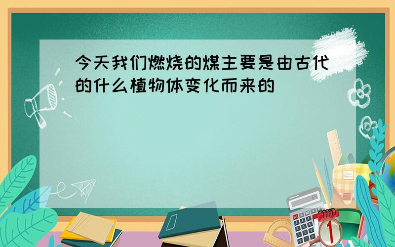 今天我们燃烧的煤主要是由古代的什么植物体变化而来的