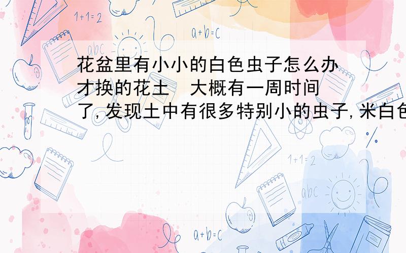 花盆里有小小的白色虫子怎么办才换的花土  大概有一周时间了,发现土中有很多特别小的虫子,米白色,很小密密麻麻的,烦死我了,怎么才能除掉呢?它们不会飞  只会爬,都爬到地板上了,我怕会