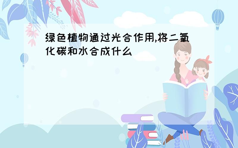 绿色植物通过光合作用,将二氧化碳和水合成什么