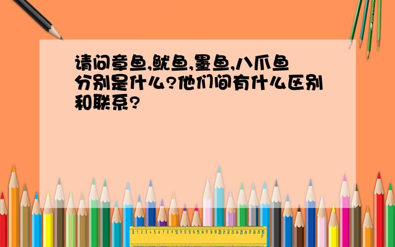 请问章鱼,鱿鱼,墨鱼,八爪鱼分别是什么?他们间有什么区别和联系?