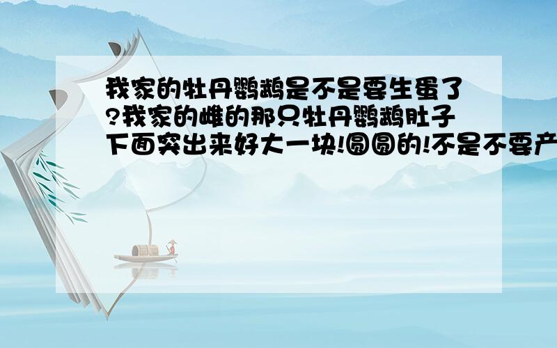 我家的牡丹鹦鹉是不是要生蛋了?我家的雌的那只牡丹鹦鹉肚子下面突出来好大一块!圆圆的!不是不要产蛋了?!如果要产蛋,怎么样的鸟窝好?我家的那个是半圆形的那种.雄的那只不让雌的那只