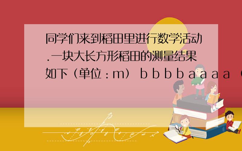 同学们来到稻田里进行数学活动.一块大长方形稻田的测量结果如下（单位：m） b b b b a a a a （一个表格）同学们来到稻田里进行数学活动.一块大长方形稻田的测量结果如下（单位：m）bbbba a