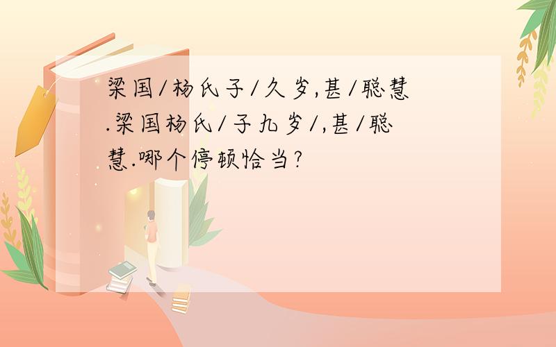 梁国/杨氏子/久岁,甚/聪慧.梁国杨氏/子九岁/,甚/聪慧.哪个停顿恰当?