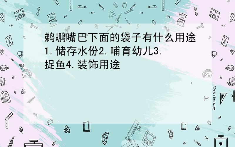 鹈鹕嘴巴下面的袋子有什么用途1.储存水份2.哺育幼儿3.捉鱼4.装饰用途