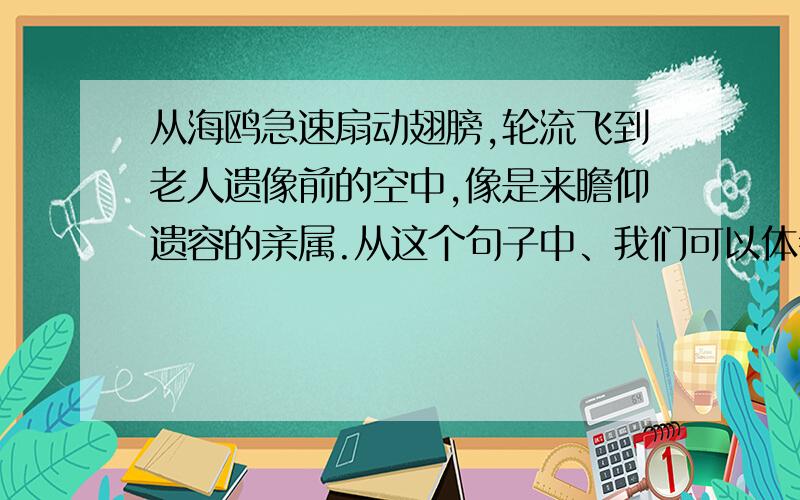 从海鸥急速扇动翅膀,轮流飞到老人遗像前的空中,像是来瞻仰遗容的亲属.从这个句子中、我们可以体会到                                                                   、从急速一次、我们感受到了海鸥