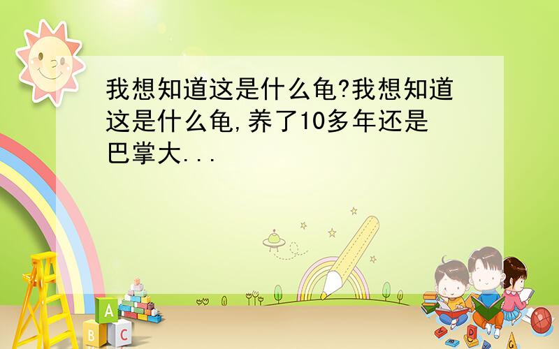 我想知道这是什么龟?我想知道这是什么龟,养了10多年还是巴掌大...