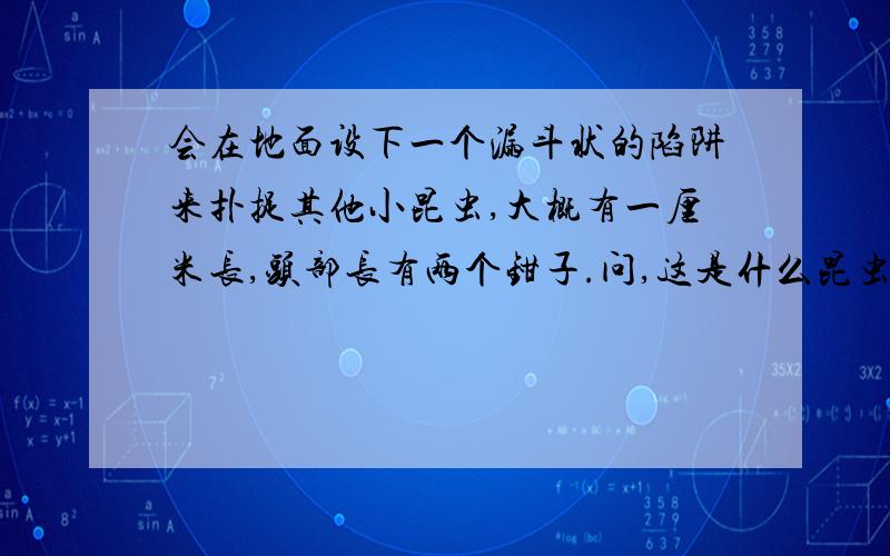 会在地面设下一个漏斗状的陷阱来扑捉其他小昆虫,大概有一厘米长,头部长有两个钳子.问,这是什么昆虫?