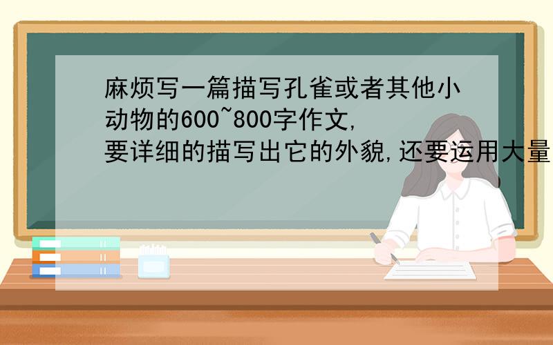 麻烦写一篇描写孔雀或者其他小动物的600~800字作文,要详细的描写出它的外貌,还要运用大量的修辞方法.就比如人教版语文七年级上册第18课法布尔的绿色蝈蝈那样写,