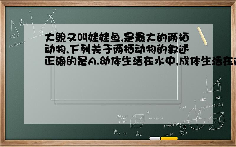 大鲵又叫娃娃鱼,是最大的两栖动物,下列关于两栖动物的叙述正确的是A.幼体生活在水中,成体生活在陆地上 B.既可以生活在水中,又可以生活在陆地上 C.幼体用鳃呼吸,成体用肺呼吸；发育为变