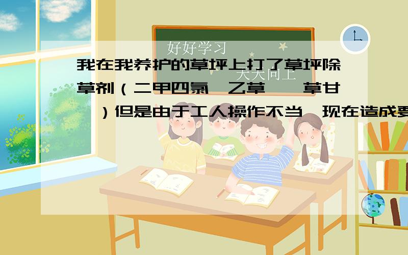 我在我养护的草坪上打了草坪除草剂（二甲四氯、乙草胺、草甘膦）但是由于工人操作不当,现在造成要害,求助造成药害,向各位求助!