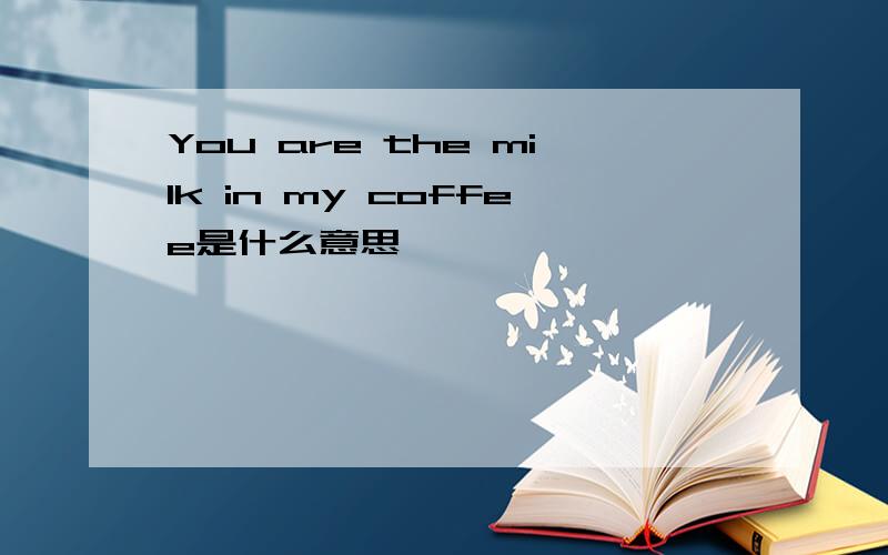 You are the milk in my coffee是什么意思