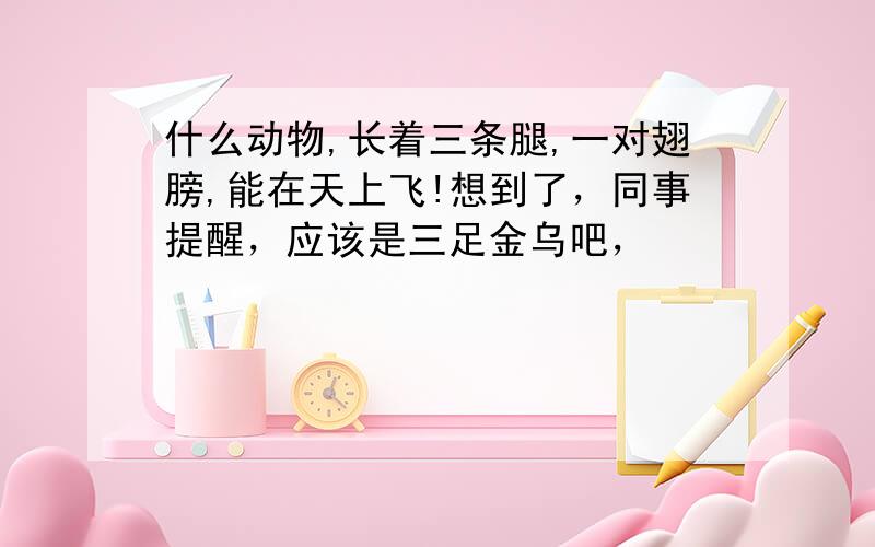 什么动物,长着三条腿,一对翅膀,能在天上飞!想到了，同事提醒，应该是三足金乌吧，