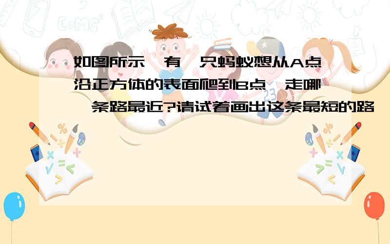 如图所示,有一只蚂蚁想从A点沿正方体的表面爬到B点,走哪一条路最近?请试着画出这条最短的路,并说明理由.