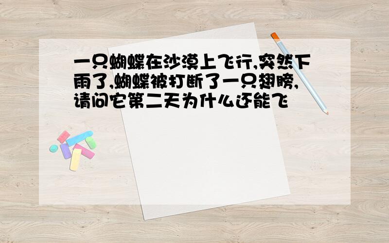 一只蝴蝶在沙漠上飞行,突然下雨了,蝴蝶被打断了一只翅膀,请问它第二天为什么还能飞