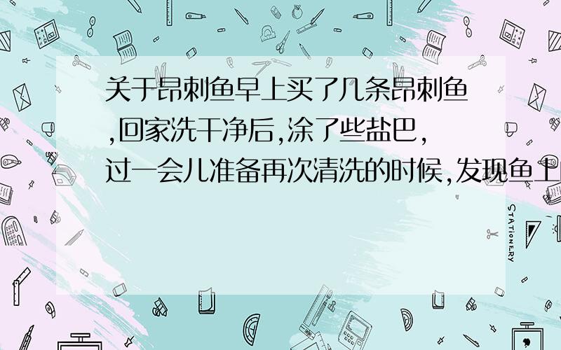 关于昂刺鱼早上买了几条昂刺鱼,回家洗干净后,涂了些盐巴,过一会儿准备再次清洗的时候,发现鱼上的黄色掉了下来,请问怎么回事?