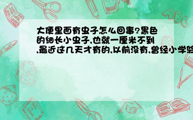 大便里面有虫子怎么回事?黑色的细长小虫子,也就一厘米不到,最近这几天才有的,以前没有,曾经小学验粪便时说肚子里有什么虫子的吃过药,现在18岁,这是什么虫子?吃完能打下去吗?