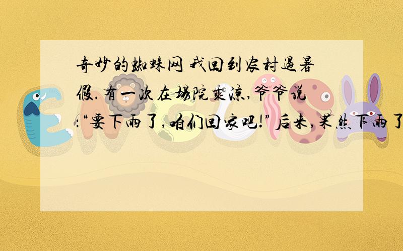 奇妙的蜘蛛网 我回到农村过暑假.有一次在场院乘凉,爷爷说：“要下雨了,咱们回家吧!”后来,果然下雨了奇妙的蜘蛛网      我回到农村过暑假.有一次在场院乘凉,爷爷说：“要下雨了,咱们回